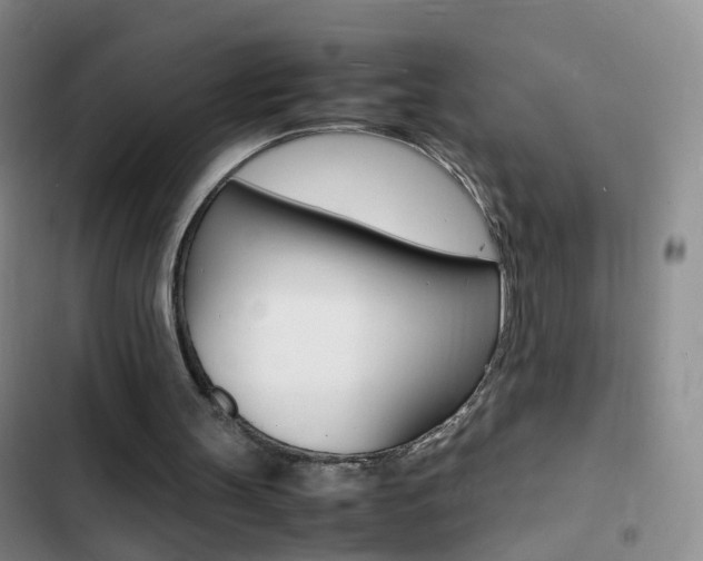 X0000103250147200808281104