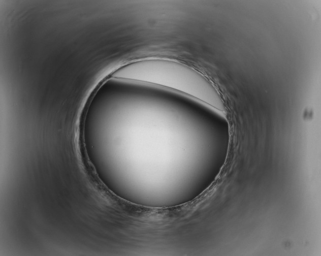 X0000103250148200808281104