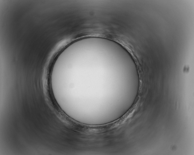 X0000103250149200808281104