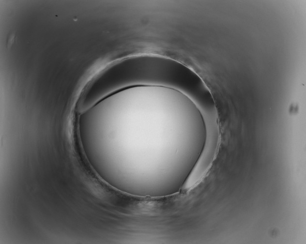 X0000103250152200808281104
