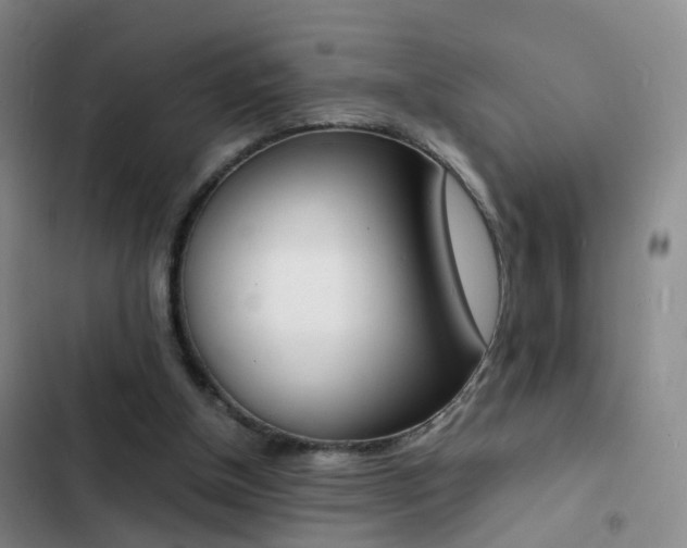 X0000103250154200808281104