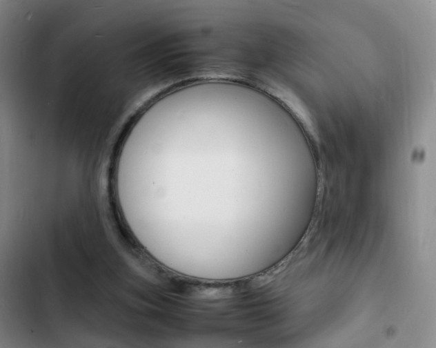 X0000103250155200808281104