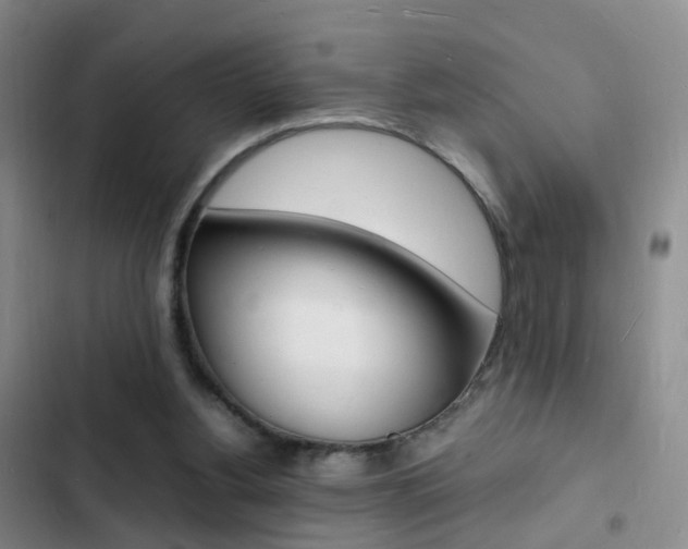 X0000103250156200808281104