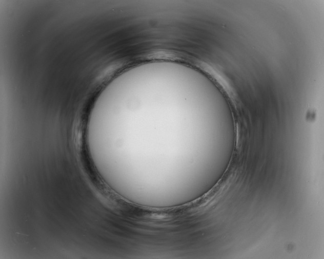 X0000103250157200808281104