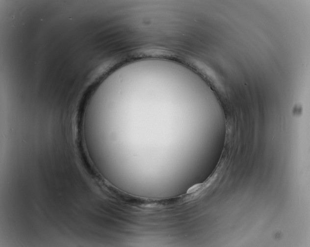 X0000103250158200808281104