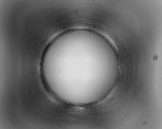 X0000103250159200808281104
