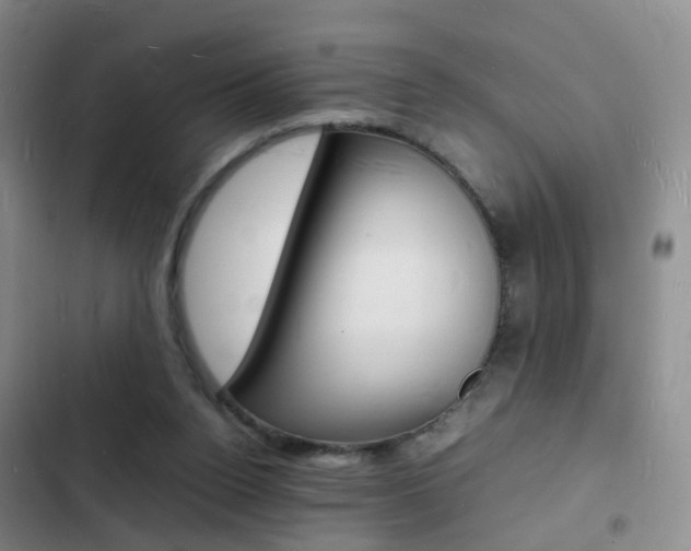 X0000103250160200808281104