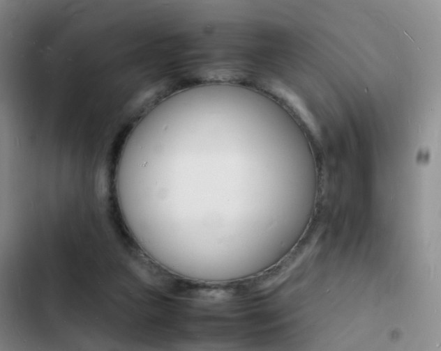 X0000103250161200808281104