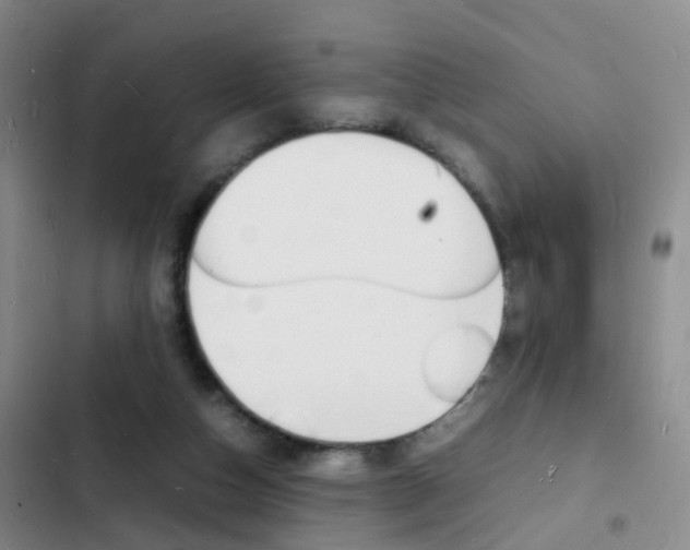 X0000103250162200808281104