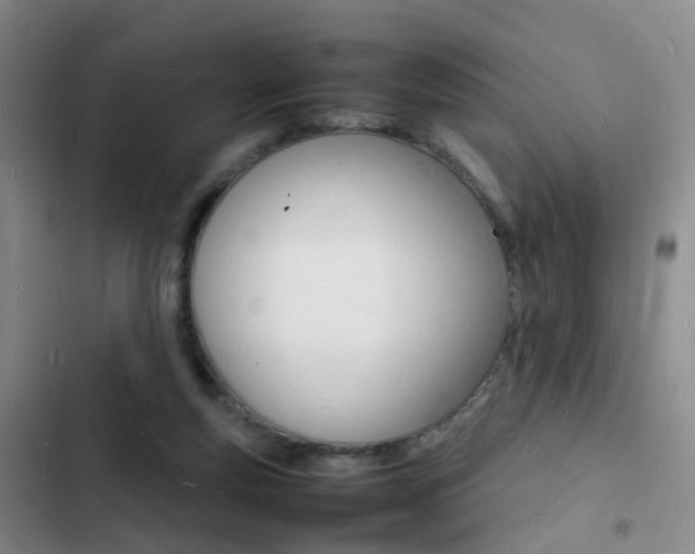 X0000103250163200808281104