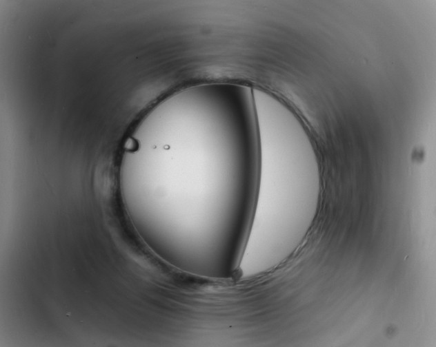 X0000103250164200808281104