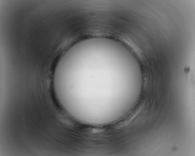 X0000103250165200808281104