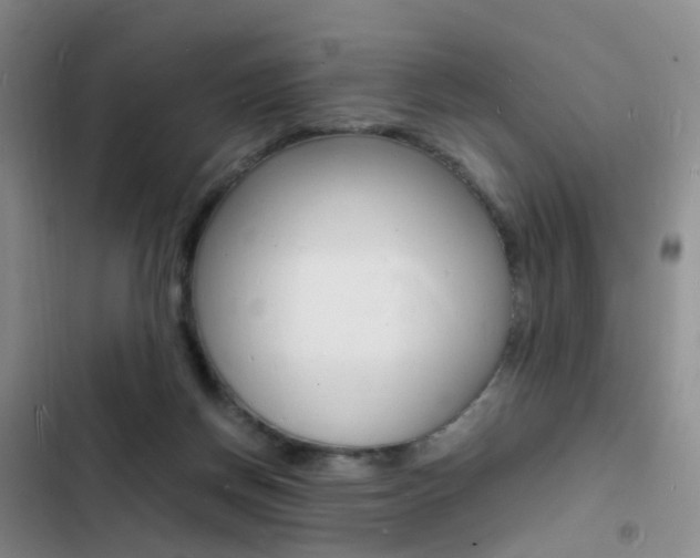 X0000103250166200808281104