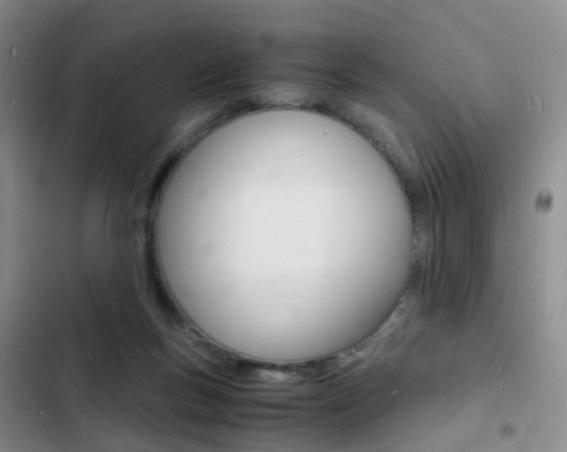 X0000103250167200808281104
