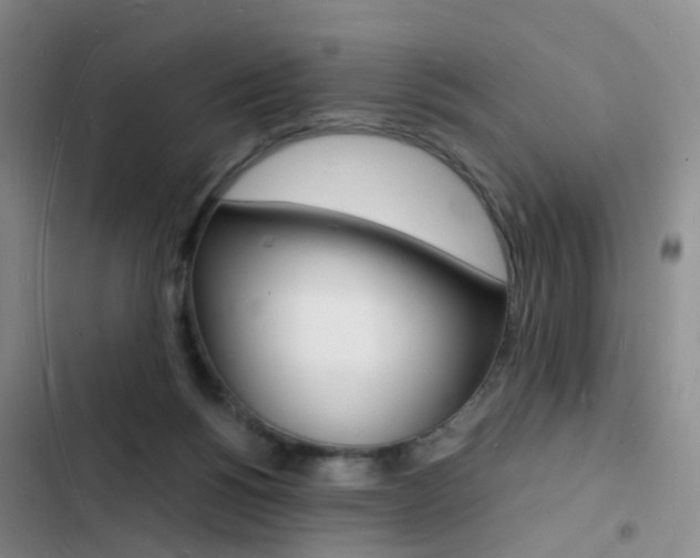X0000103250168200808281104