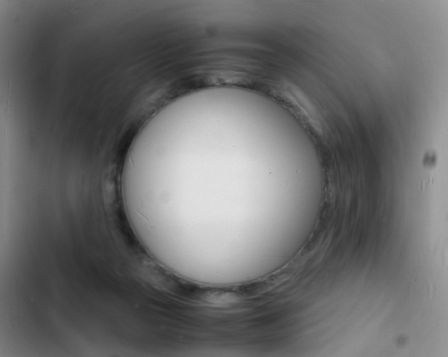 X0000103250169200808281104