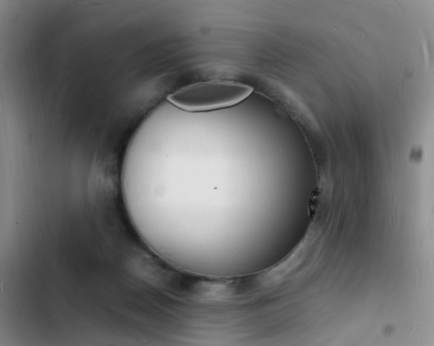 X0000103250170200808281104