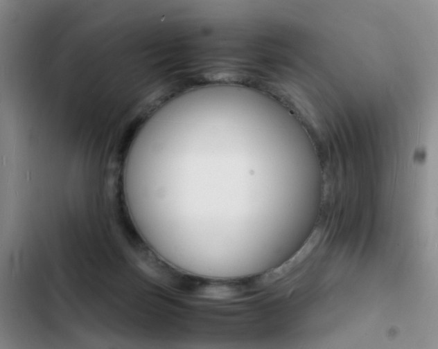 X0000103250171200808281104
