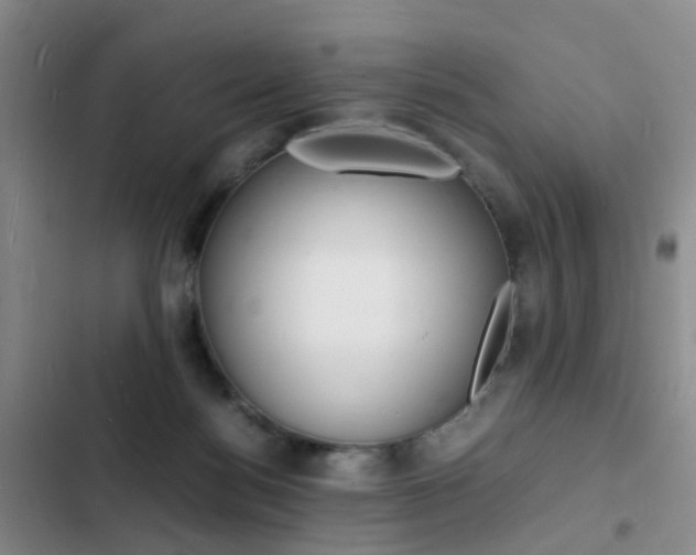 X0000103250172200808281105