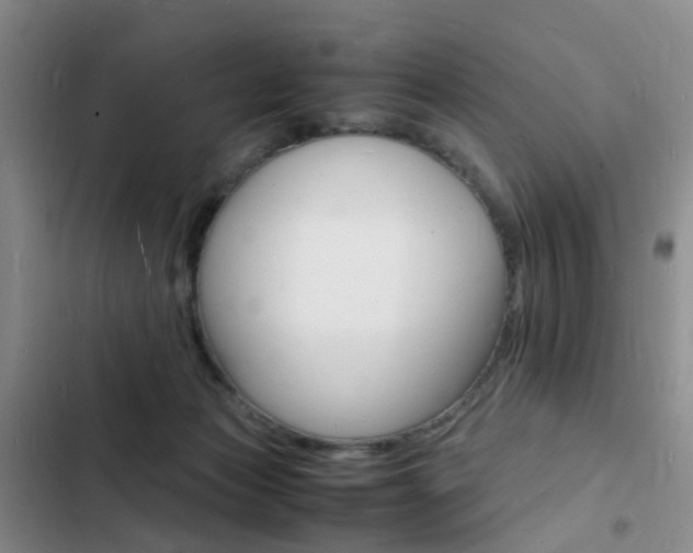 X0000103250173200808281105