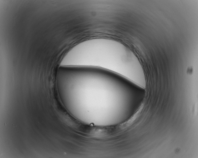 X0000103250174200808281105