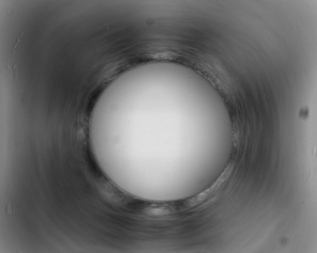 X0000103250175200808281105