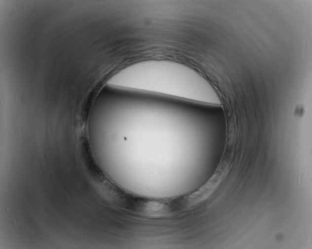 X0000103250176200808281105