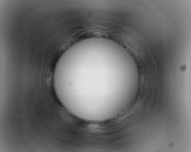 X0000103250177200808281105