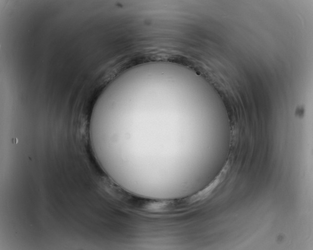 X0000103250178200808281105