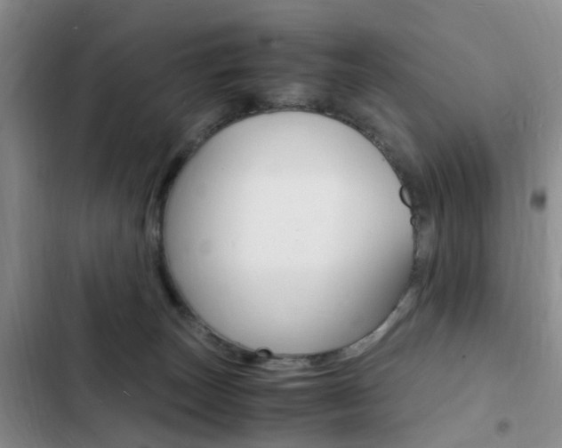 X0000103250179200808281105