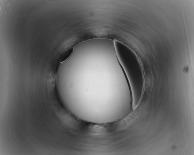X0000103250180200808281105