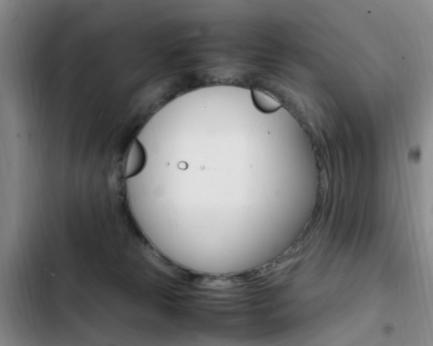 X0000103250181200808281105