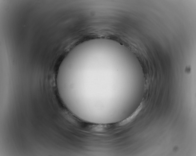 X0000103250182200808281105