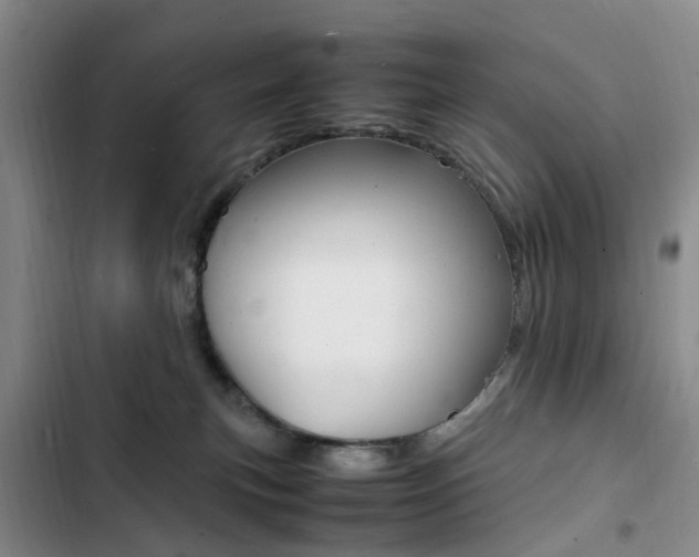 X0000103250183200808281105