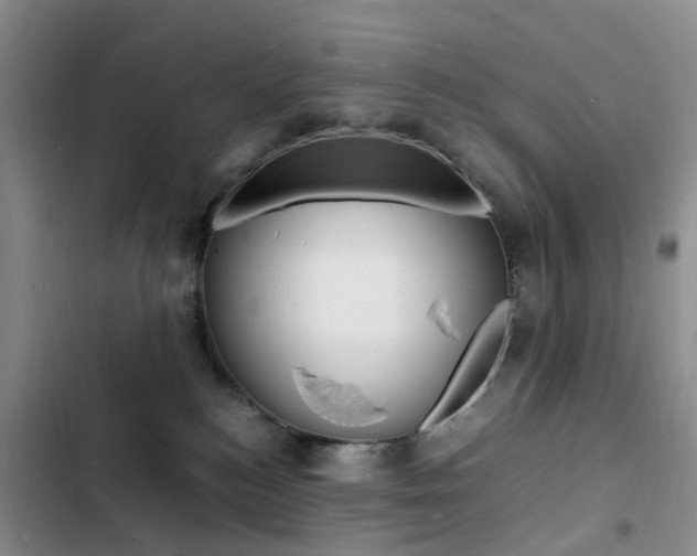 X0000103250184200808281105
