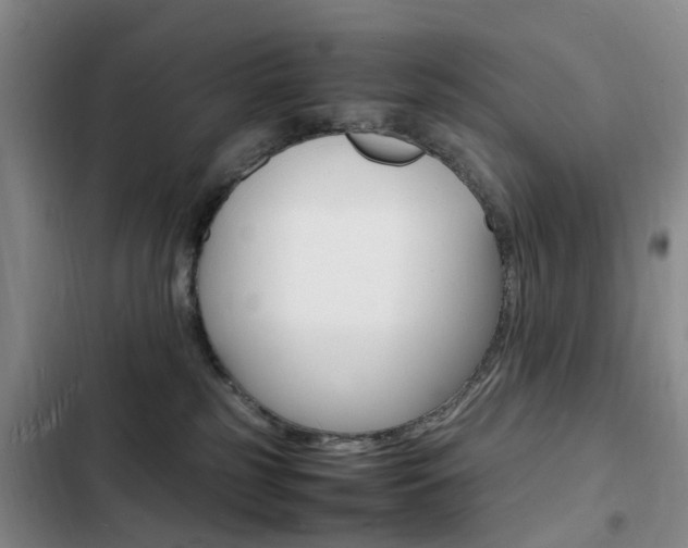X0000103250185200808281105