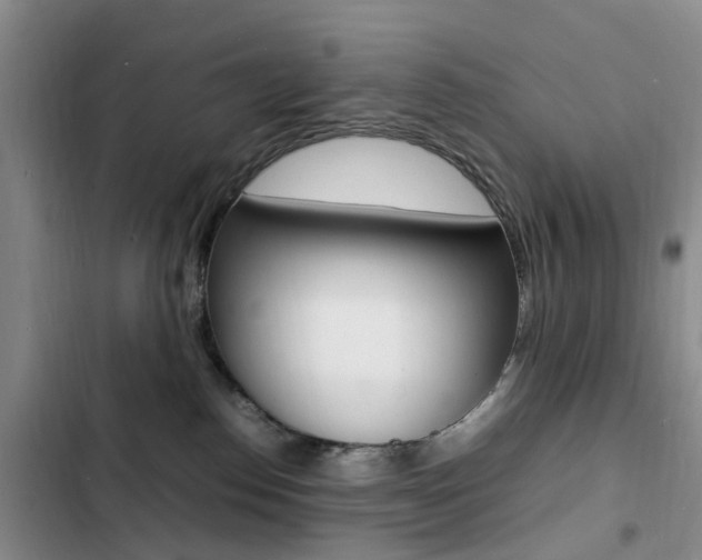X0000103250186200808281105