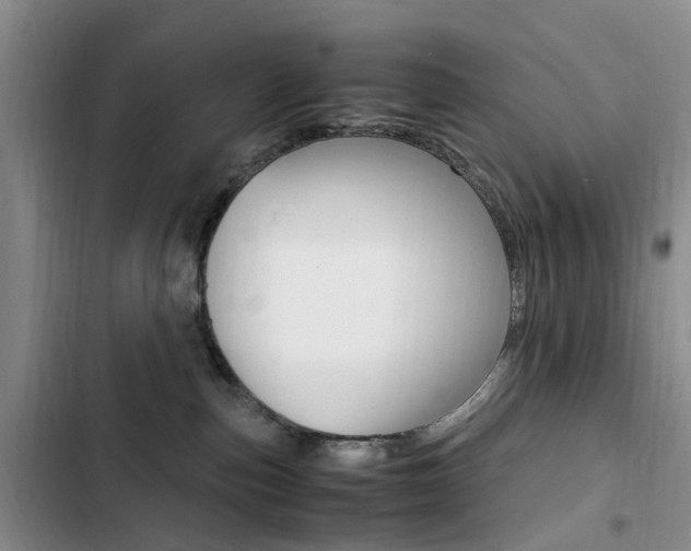 X0000103250187200808281105