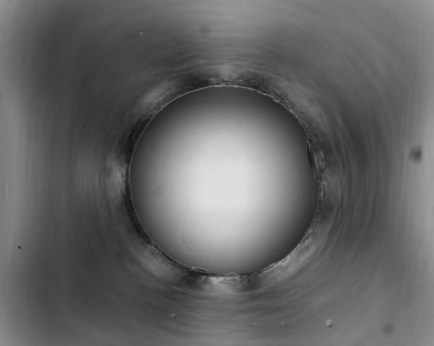 X0000103250188200808281105