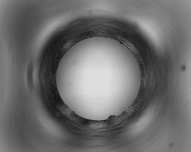 X0000103250189200808281105