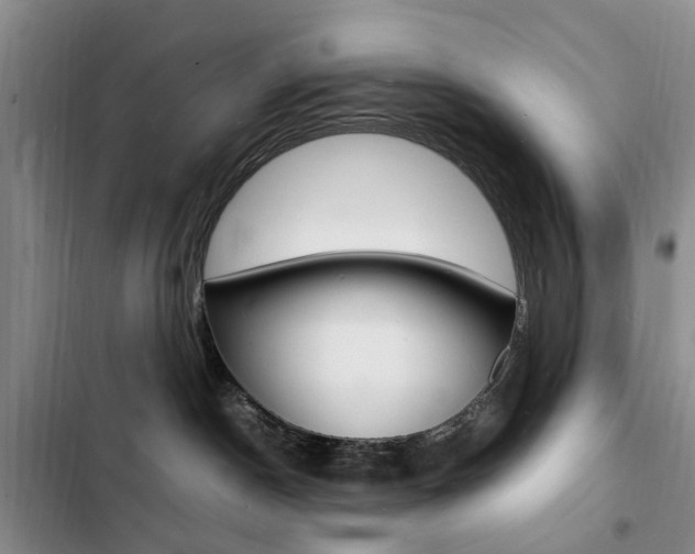 X0000103250190200808281105