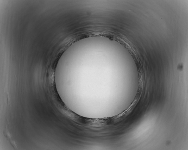 X0000103250191200808281105