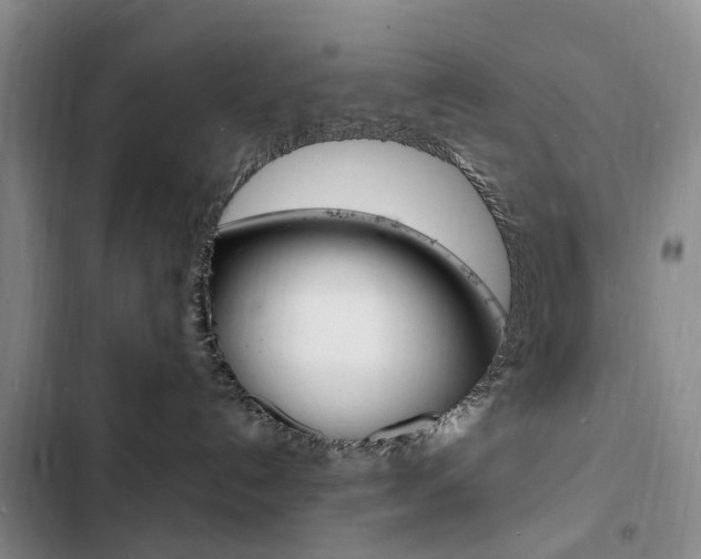 X0000103250192200808281105