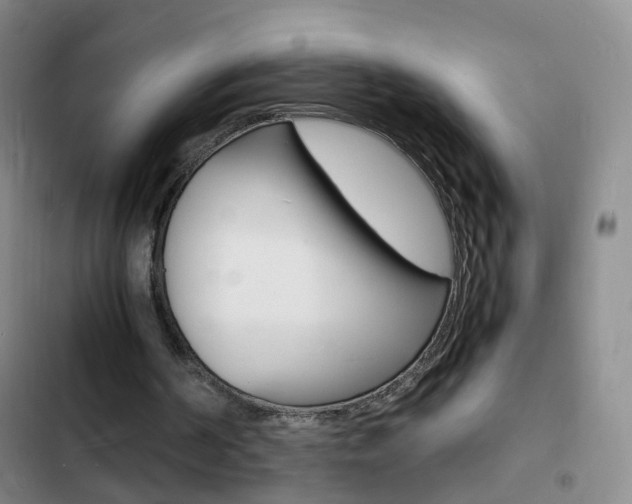 X0000103250194200808281104