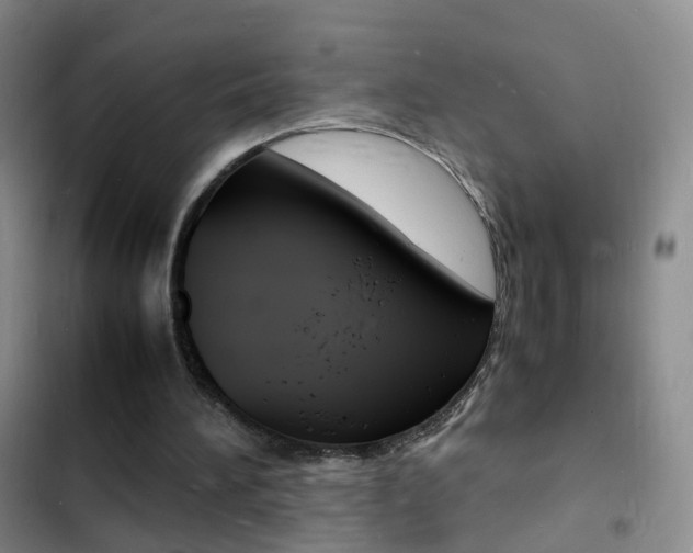 X0000103250196200808281104