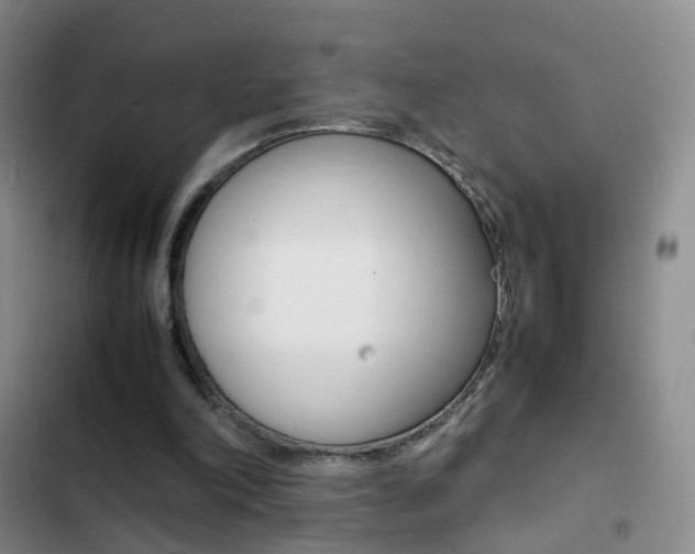 X0000103250198200808281104