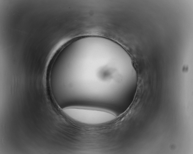 X0000103250200200808281104