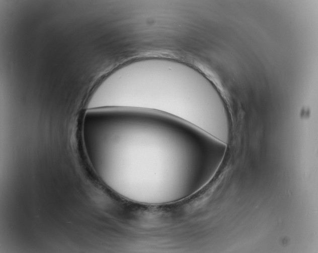 X0000103250201200808281104