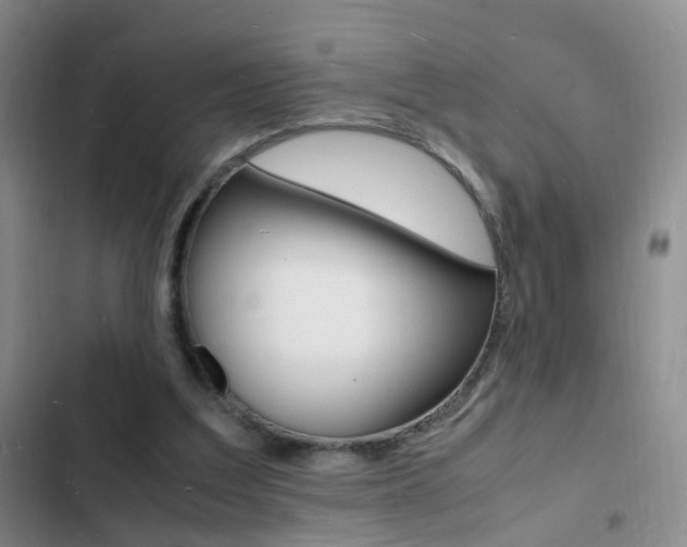 X0000103250203200808281104