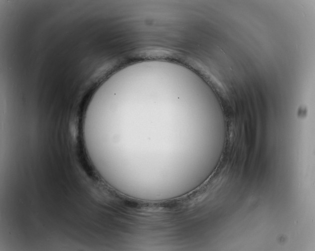 X0000103250206200808281104